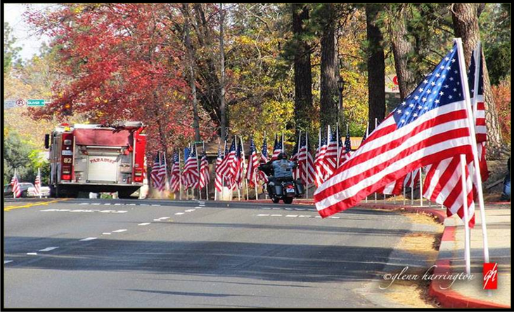 parade-of-flags-paradise-ca