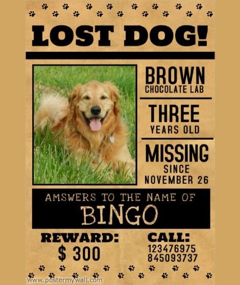 what to put on a found dog flyer